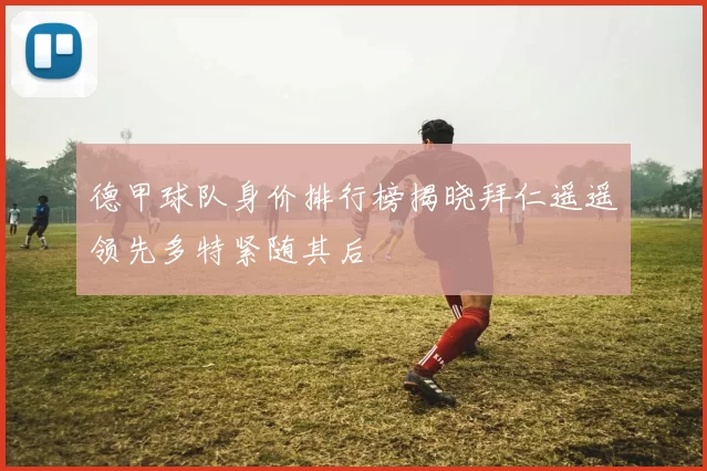 德甲球队身价排行榜揭晓拜仁遥遥领先多特紧随其后