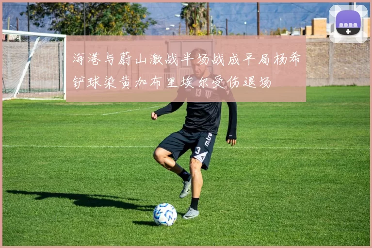 海港与蔚山激战半场战成平局杨希铲球染黄加布里埃尔受伤退场